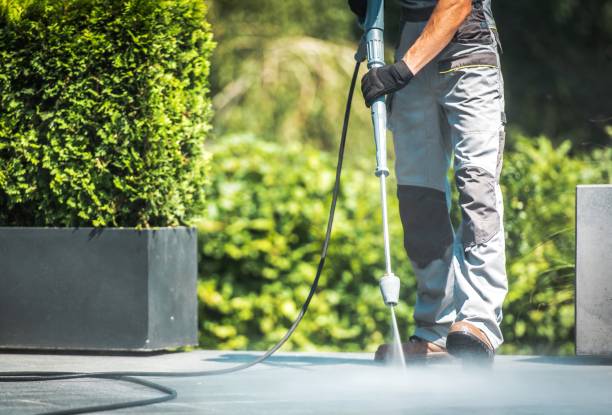 Best Sign and Awning Cleaning  in Mount Olive, MS