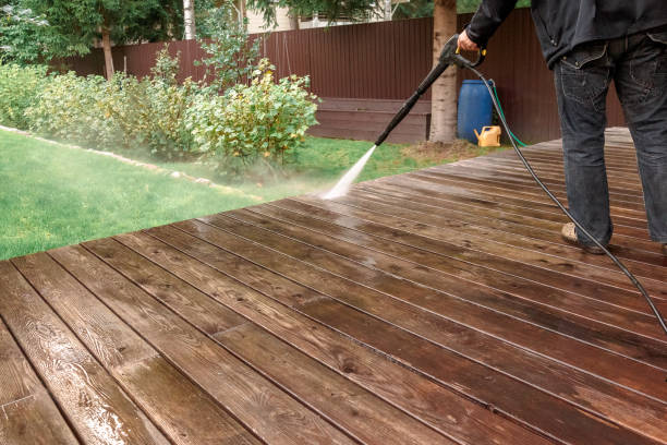 Best Solar Panel Cleaning  in Mount Olive, MS
